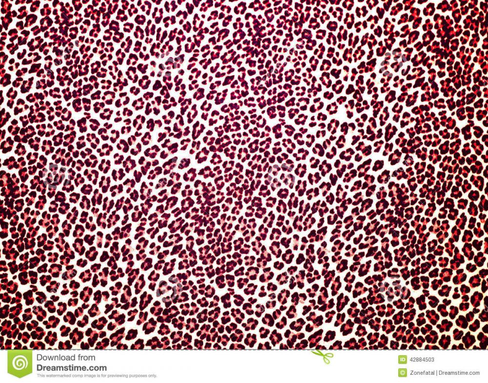 leopard-print-red-white-background-42884503.jpg