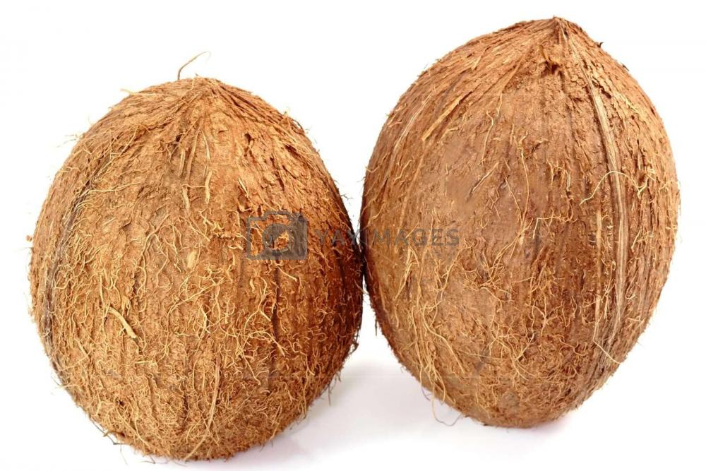 two-coconuts-207945.jpg