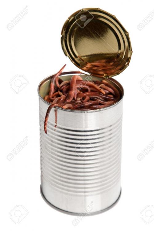 4656346-concept-for-the-idiom-of-a-open-can-of-worms-stock-photo-worms.thumb.jpg.55b28a7391b515ef4fdaa0badcad5d3e.jpg